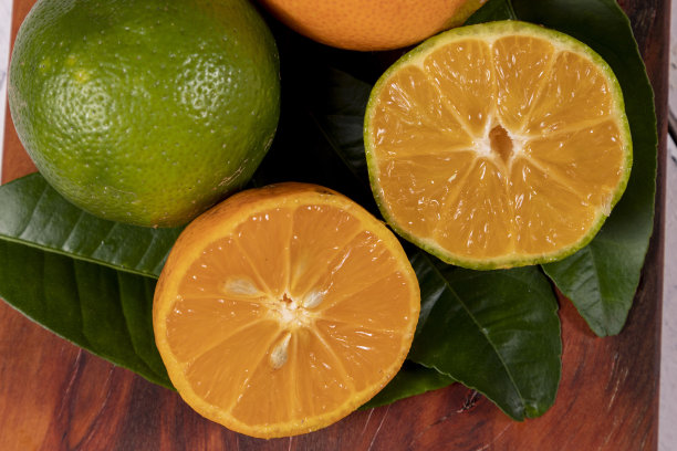 Rangpur, Citrus × limonia或Citrus reticulata × medica，有时被称为Rangpur lime, mandarin lime或lemandarin，是柑桔和香橼的杂交品种。有选择性的重点图片下载