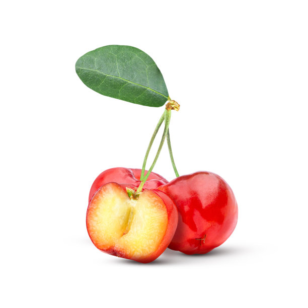 红色针叶樱桃果实图片下载