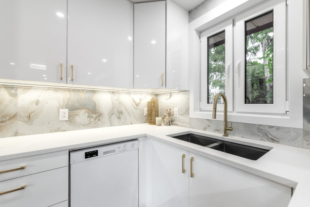 豪华装修现代化的房子与后院图片下载