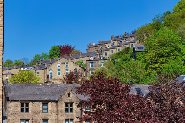 山上的房子和绿树图片下载