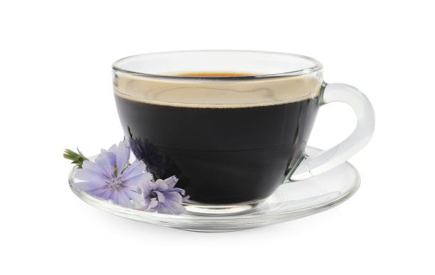 一杯美味的菊苣饮料和花在白色的背景图片下载