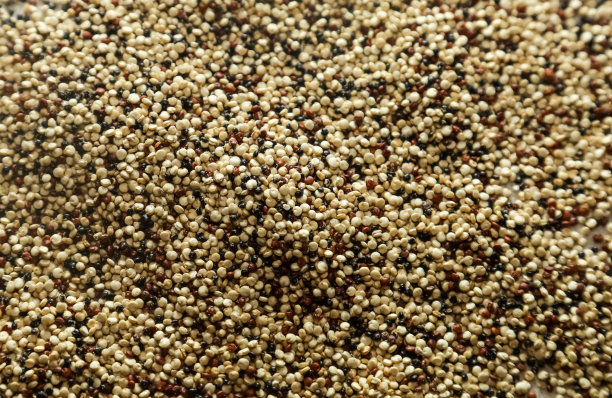 藜麦种子是一种健康的早餐和高纤维食物，对胆固醇患者有好处图片下载