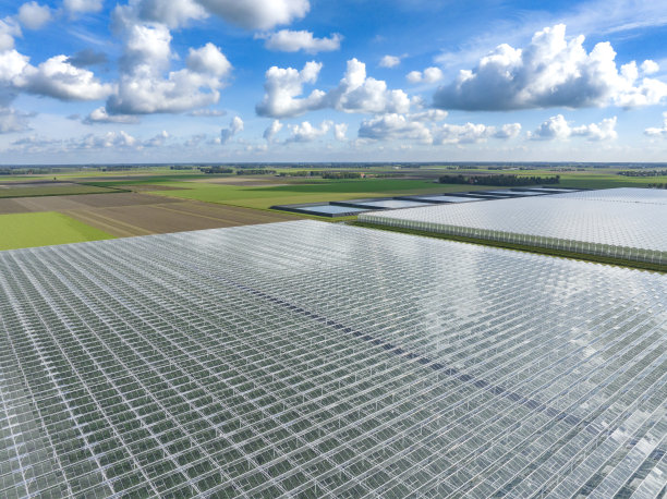 从空中俯瞰种植蔬菜的温室图片下载