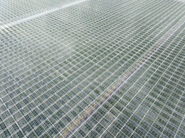 从空中俯瞰种植蔬菜的温室图片下载