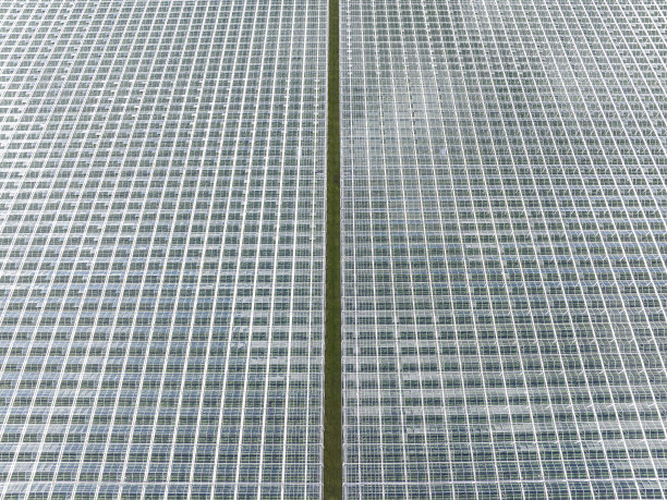 从空中俯瞰种植蔬菜的温室图片下载