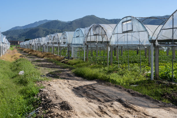 蔬菜大棚图片下载