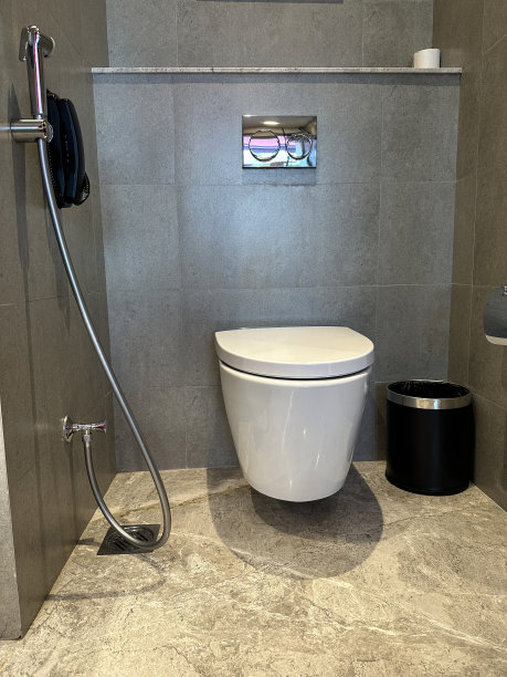 豪华酒店浴室的形象，棕色的石头瓷砖地板和墙壁，壁挂式电话除了白色陶瓷马桶，手淋浴坐浴盆头附件图片下载