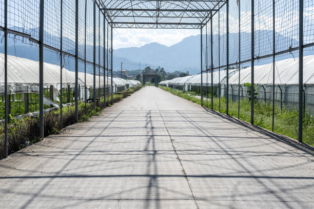 蔬菜大棚图片下载