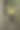 一个十几岁的女孩在树林里玩玩具图片下载