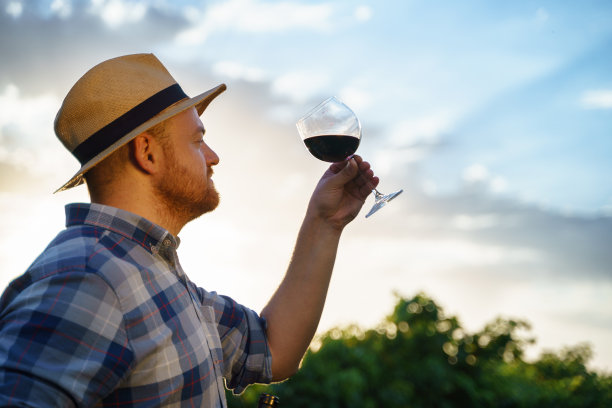 图为一位快乐而成功的酿酒师正在检查倒入玻璃杯中的红酒的质量图片下载