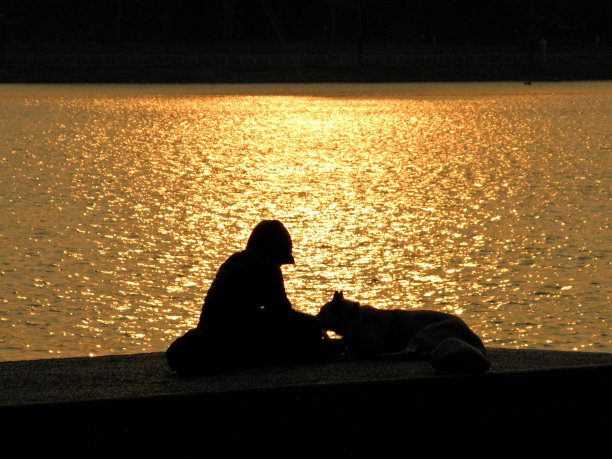 河的剪影。湖边日落的剪影图片下载