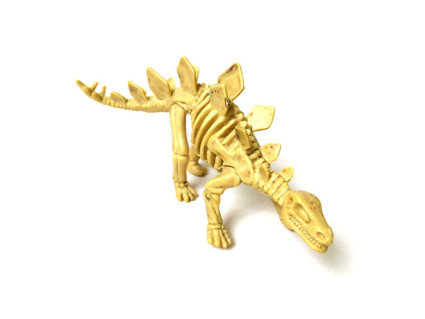 剑龙骨架玩具的特写，孤立在白色背景上。图片下载
