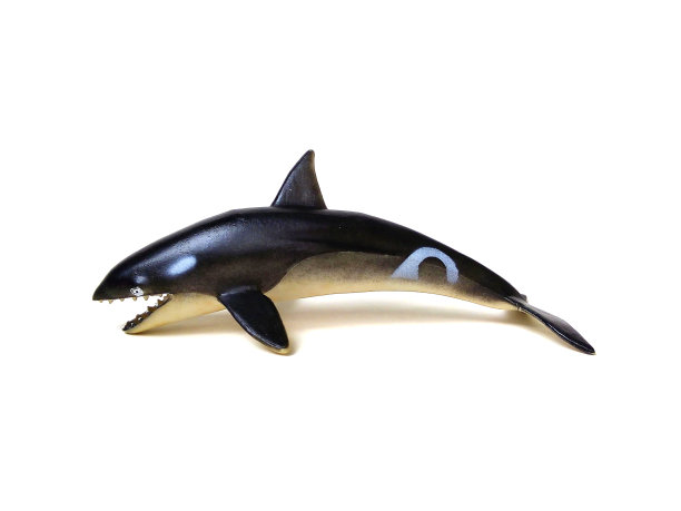 近距离的虎鲸或虎鲸玩具孤立在白色背景。图片下载