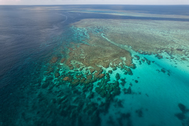 鸟瞰袋鼠礁，GBR，北昆士兰，澳大利亚图片下载