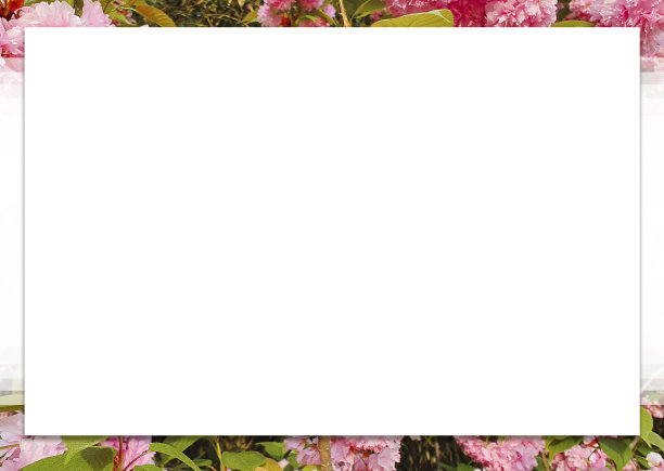 这是一张A3大小的图片，适合用作设计编辑背景。图片下载