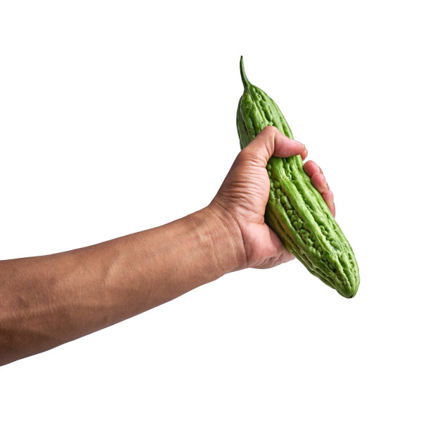 手捧苦瓜孤立白背景图片下载