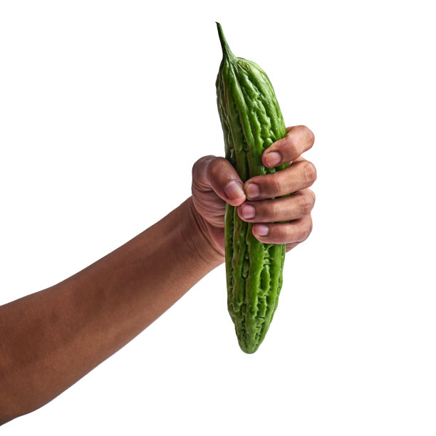 手捧苦瓜孤立白背景图片下载