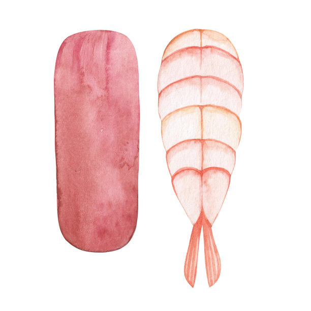 水彩寿司与金枪鱼和虾的顶部视图插图。手绘。图片下载