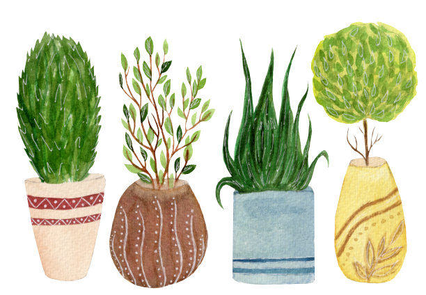水彩画系列，不同花盆里的各种家居植物，元素被隔离在白色的背景上。图片下载