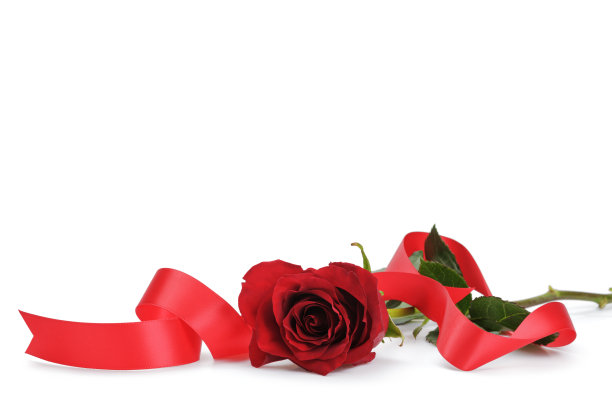 新鲜的红玫瑰丝带隔离在白色的背景图片下载