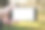 男子手持智能手机与白色屏幕户外与春天模糊的背景图片下载