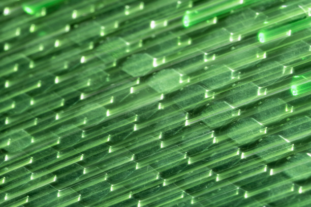 亚原子世界的抽象宏观照片图片下载