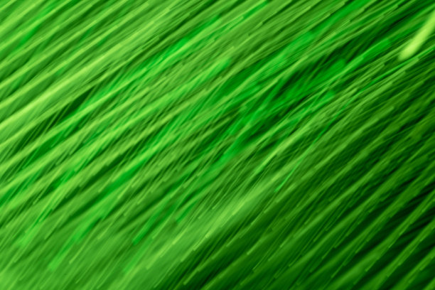 亚原子世界的抽象宏观照片图片下载