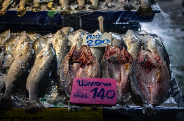 新鲜的海鲈鱼切片在冰盘上出售，泰国昂西拉海鲜市场图片下载