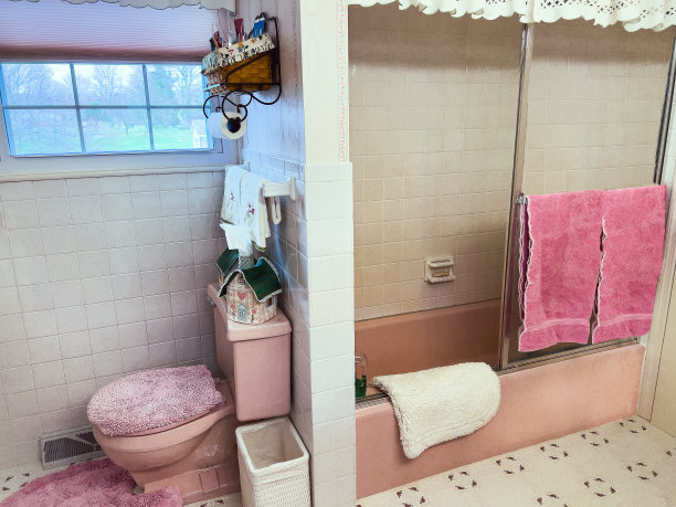 20世纪70年代的粉红色复古/复古浴室图片下载