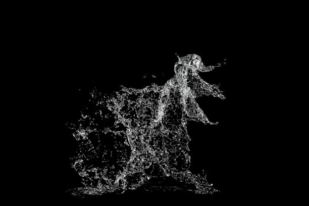 水飞溅孤立的黑色背景。用水滴泼水。清澈，透明的水溅在黑色的背景图片下载