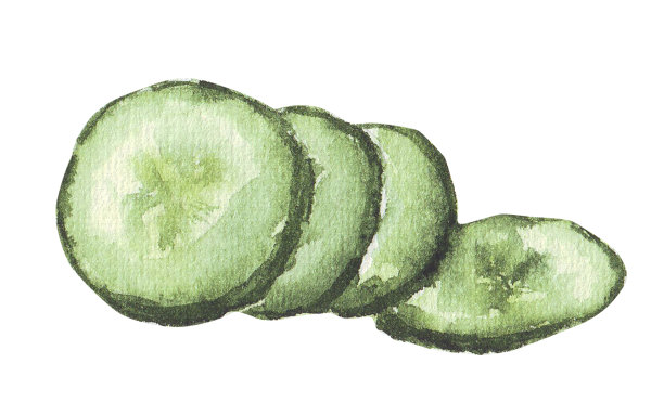 用水彩画黄瓜片。构图以白色为背景，设计主题为烹饪、保鲜、蔬菜、沙拉。图片下载