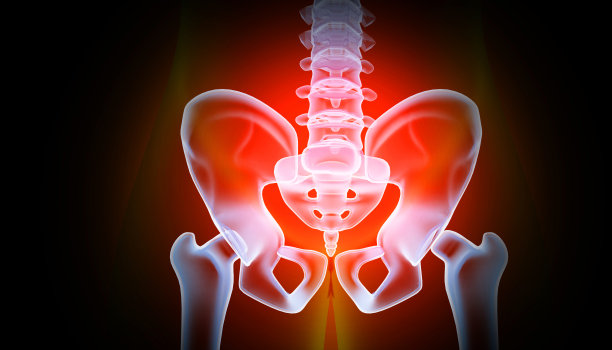 人体髋部解剖，x线图。三维演示图片下载