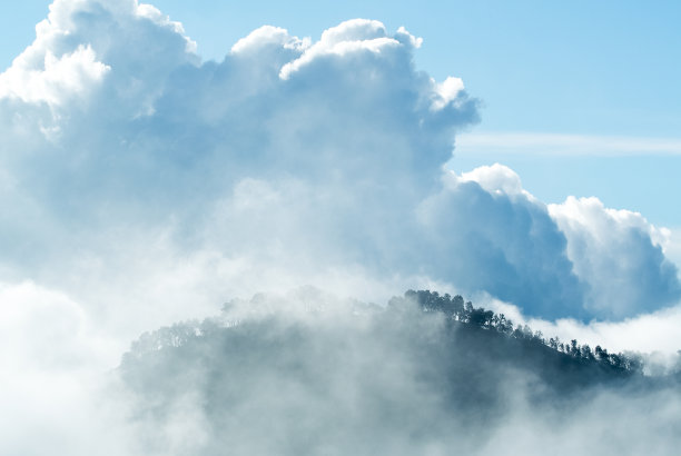 高峰树与云图片下载