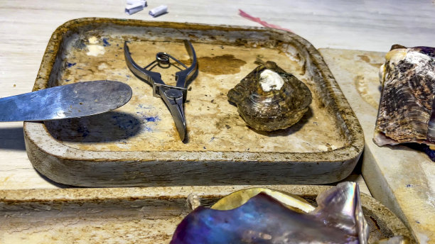 准备培育天然珍珠用它的托盘，剪刀，刮刀和纸板使珍珠在一个自然的方式。图片下载