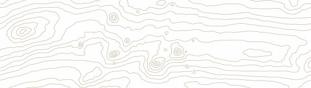 无缝木纹。木纹纹理。密集的线。浅灰色背景。位图说明图片下载