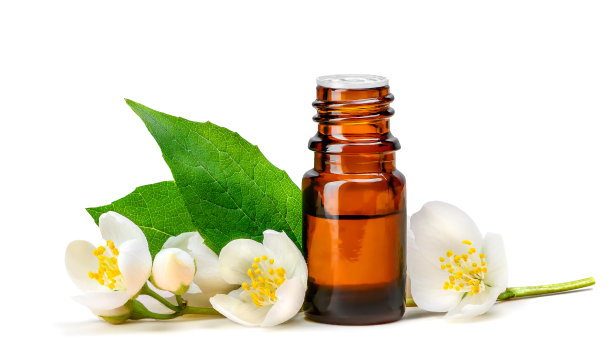 白色的茉莉花与绿色的叶子和棕色的玻璃瓶与油隔离在白色图片下载