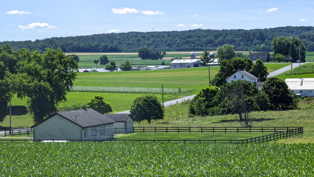 新种植的农田中间的一间教室校舍图片下载