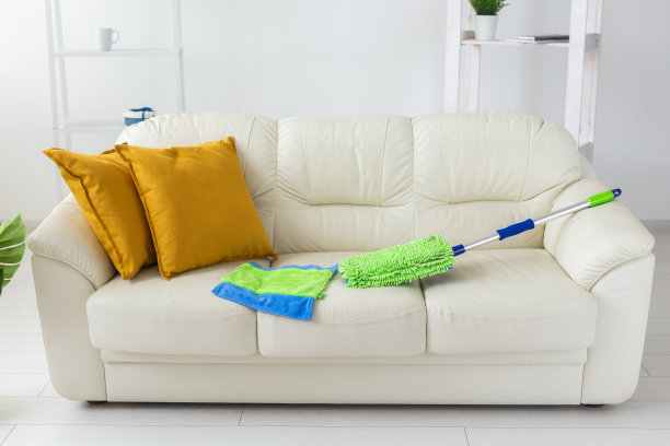 沙发上可调节把手的蓝色和绿色塑料拖把——清洁服务和家政服务的工具图片下载