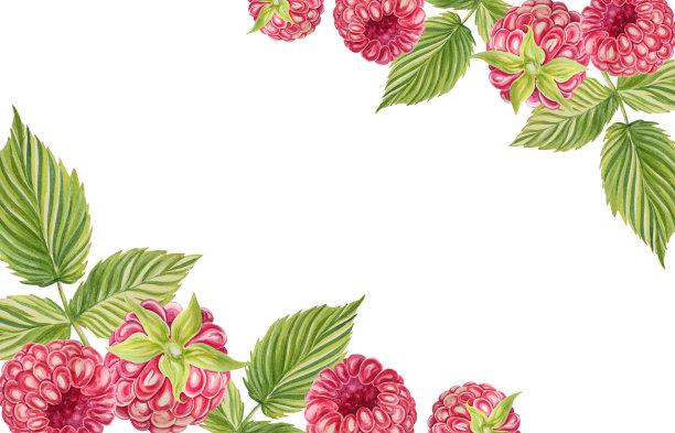 深红色的框架。水彩插图在一个孤立的背景。旗帜,明信片。漂亮的商业设计。图片下载