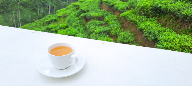 一杯热茶图片下载