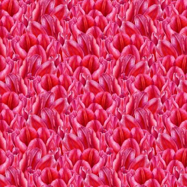 水彩手绘花卉无缝图案的粉红郁金香。插图用于生日，情人节，妇女和母亲节，婚礼请柬，卡片，包装纸，礼品，壁纸图片下载