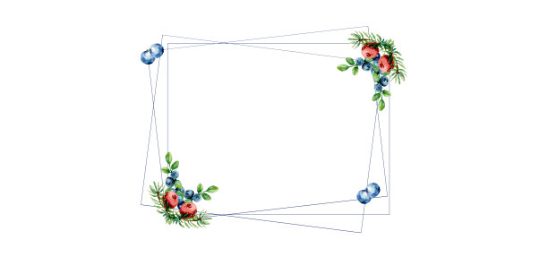 野莓的名字。水彩蓝莓，小红莓方形框孤立图片下载