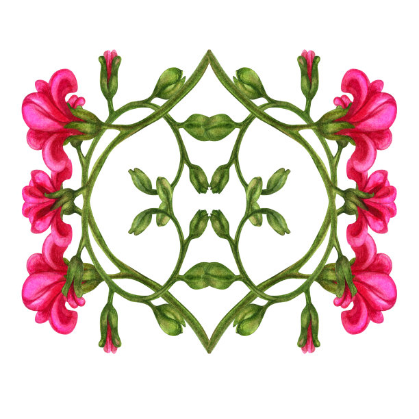 美丽的手工水彩蓝色勿忘我花，适合婚礼、母亲节、父亲节、妇女节、情人节、生日、春夏花束。元素被隔离在白色背景上图片下载