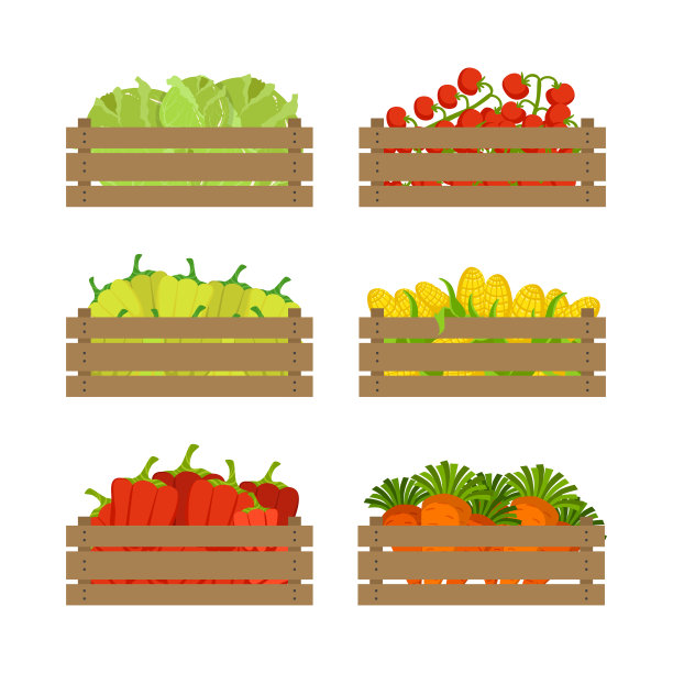 木制板条箱与农场蔬菜作为季节性收获向量集图片下载