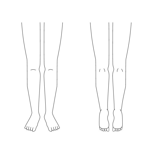 医疗记录左、右腿插图|前后|从大腿到脚趾图片下载