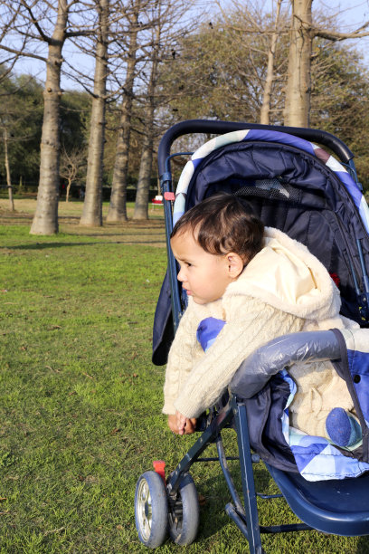 可爱的小婴儿在婴儿车的肖像图片下载