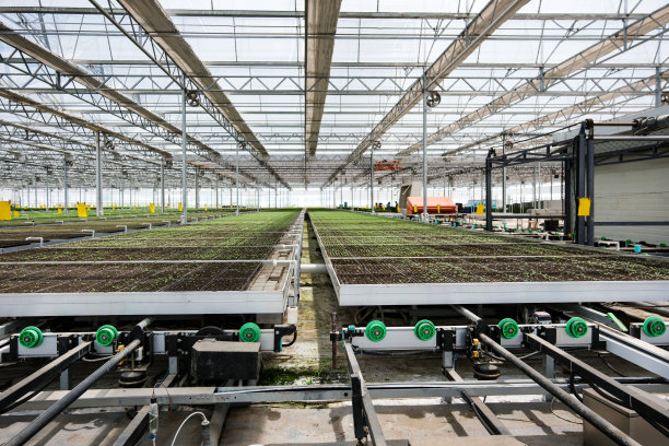 蔬菜育苗基地自动化机械设备图片下载