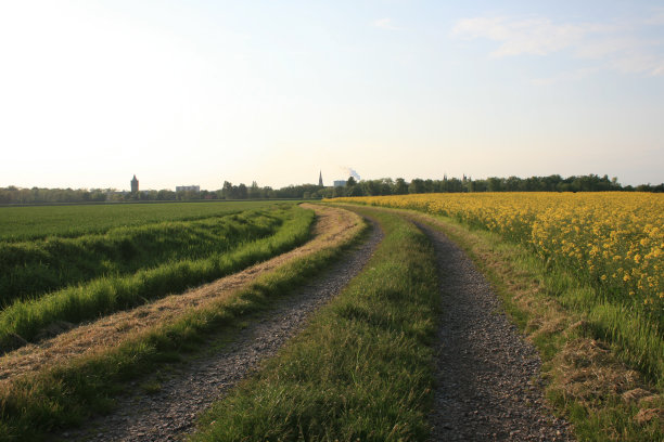 绿野间的路图片下载