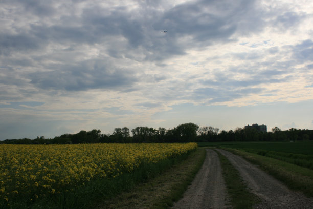 绿野间的路图片下载