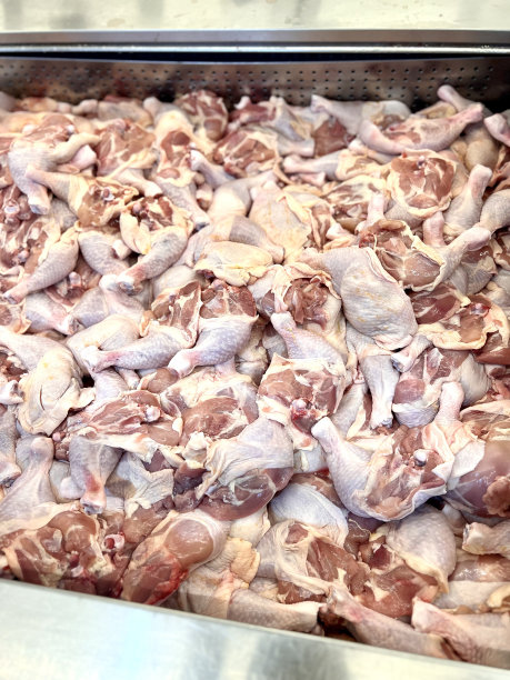 厨房里一盘生鸡肉的照片，用金属托盘把鸡肉放在金属平底锅里图片下载